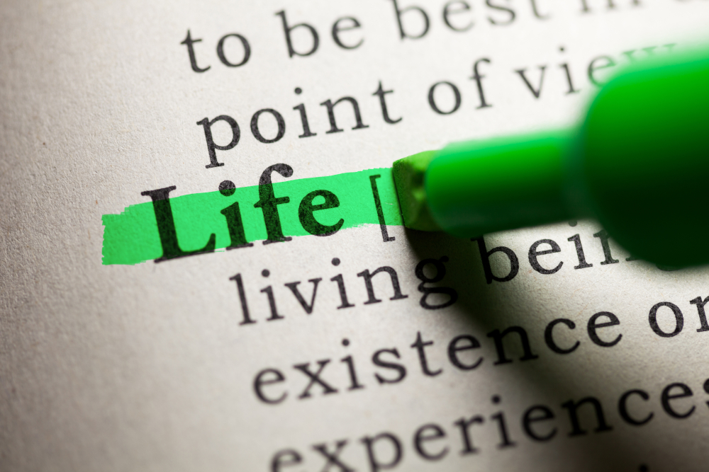 The dictionary meaning of life