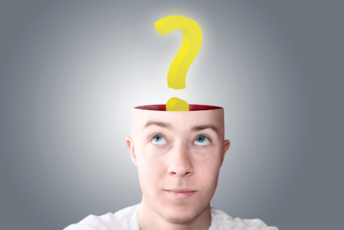 The puzzle that is consciousness