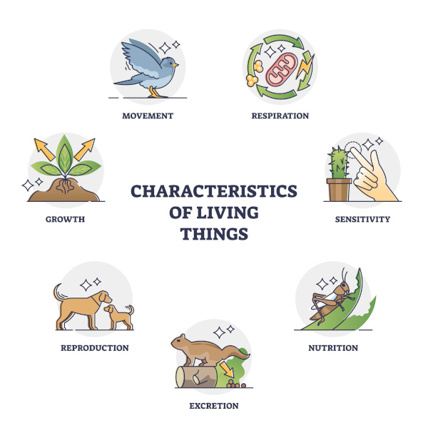 Seven characteristics of living things