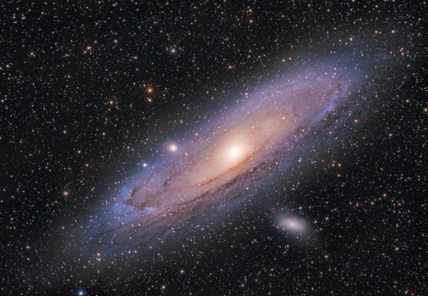 Cosmic intelligence at play