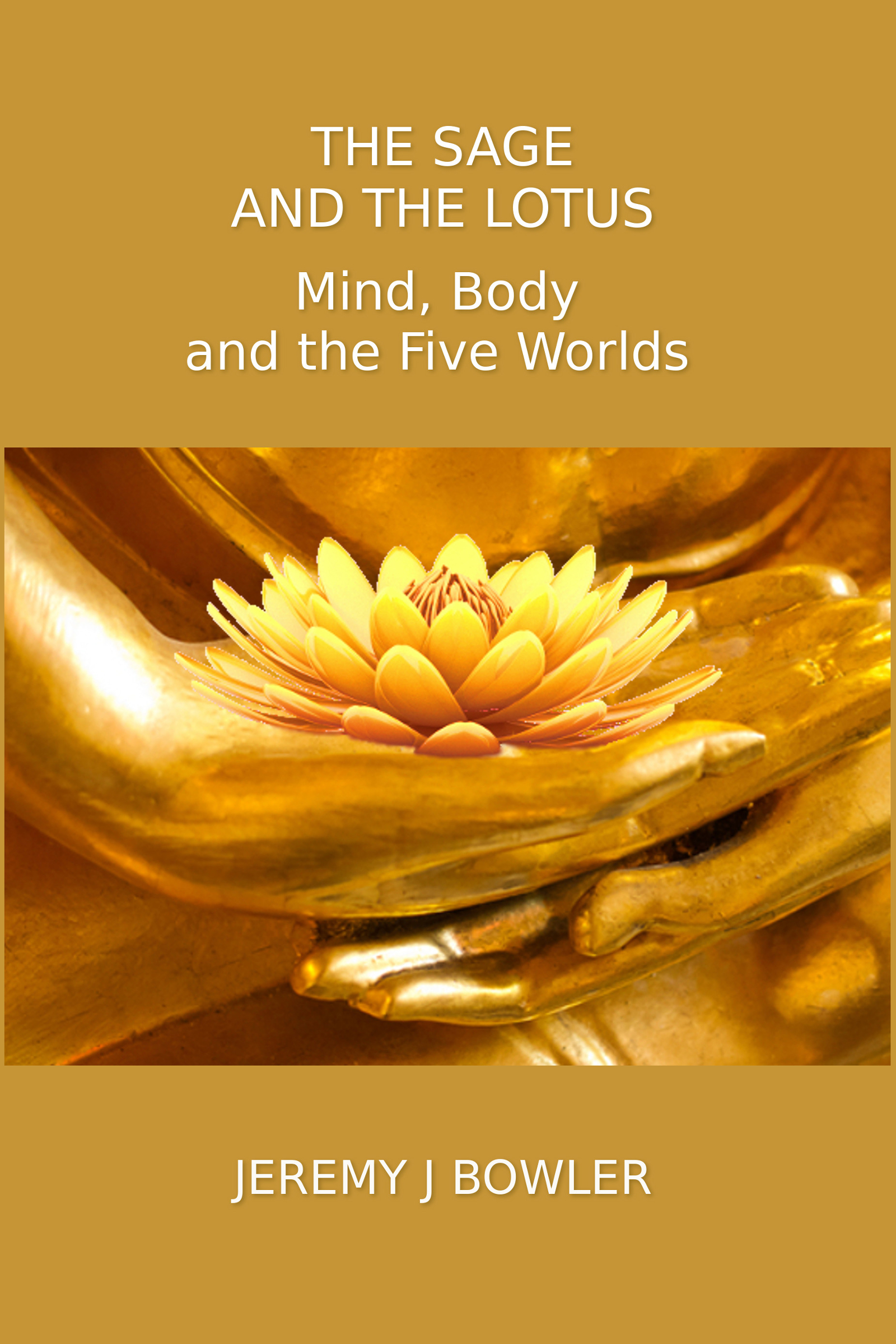 My book cover