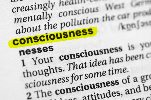 the dictionary definition of consciousness